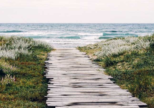pathway-beach